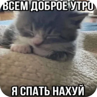 🫥 emoji Китики Telegram sticker 24 of 50