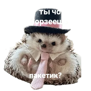 🧐 emoji Мемы Telegram sticker 12 of 96