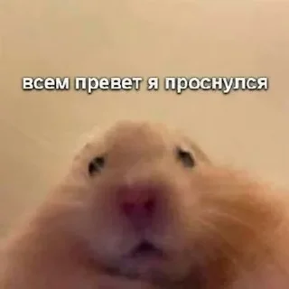 😁 emoji Милые-забавные стикеры ➡️ @Ctikerubot Telegram sticker 20 of 50