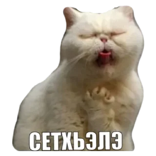 Sticker from Дана
