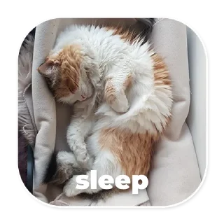 💤 emoji eugenbro_stickers Telegram sticker 10 of 28