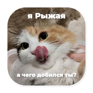 🤗 emoji eugenbro_stickers Telegram sticker 13 of 28
