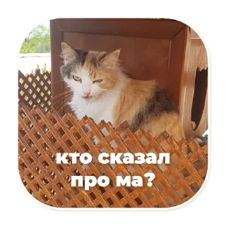 😡 emoji eugenbro_stickers Telegram sticker 12 of 28