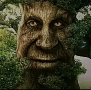 🌳 emoji anal?? Telegram sticker 22 of 45