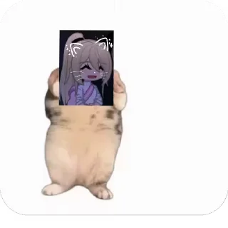 💃 emoji Куропаточка для Шери, и котики для шери Telegram sticker 14 of 25