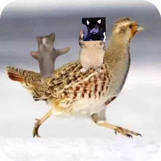 🐦 emoji Куропаточка для Шери, и котики для шери Telegram sticker 6 of 25