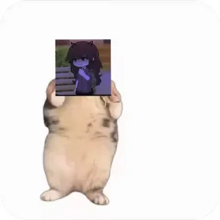 💃 emoji Куропаточка для Шери, и котики для шери Telegram sticker 15 of 25