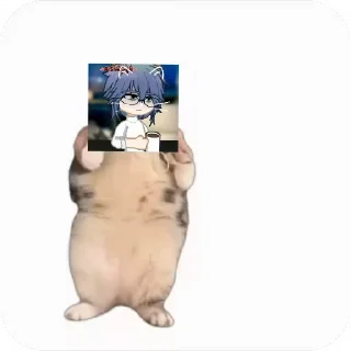 💃 emoji Куропаточка для Шери, и котики для шери Telegram sticker 17 of 25