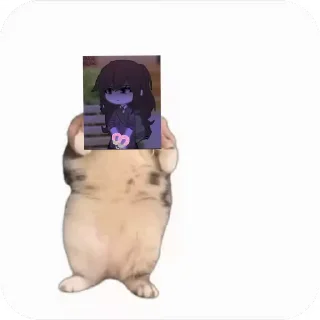 💃 emoji Куропаточка для Шери, и котики для шери Telegram sticker 19 of 25
