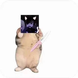 💃 emoji Куропаточка для Шери, и котики для шери Telegram sticker 21 of 25