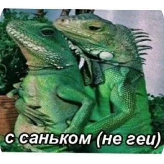 🏳‍🌈 emoji Стикеры, сделанные @djieo Telegram sticker 5 of 35