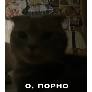 😏 emoji генерал туся Telegram sticker 24 of 64