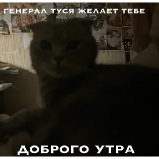 ☀️ emoji генерал туся Telegram sticker 9 of 64