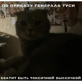 Sticker from генерал туся