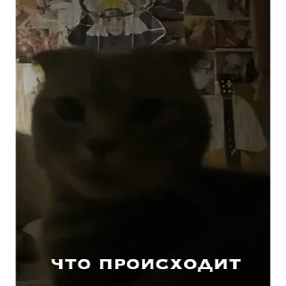 🤐 emoji генерал туся Telegram sticker 23 of 64