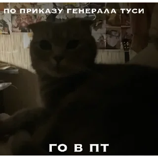 Sticker from генерал туся