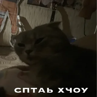 🥱 emoji генерал туся Telegram sticker 13 of 64