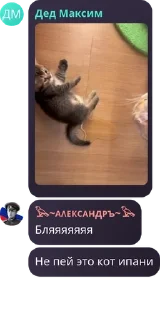 🕺 emoji 🇷🇺Русская Национальная Импер pack by @QuotLyBot Telegram sticker 7 of 120