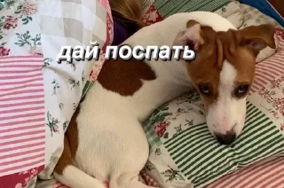 Sticker from джесси на каждый день