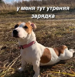 Sticker from джесси на каждый день