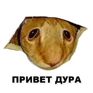 🤚 emoji Пикчи для общения с девочками Telegram sticker 9 of 21