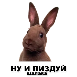 ☹️ emoji Пикчи для общения с девочками Telegram sticker 7 of 21