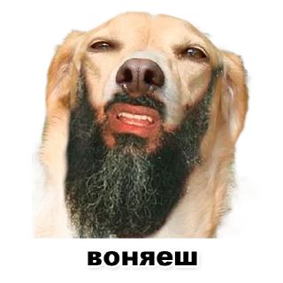 🤢 emoji Пикчи для общения с девочками Telegram sticker 14 of 21
