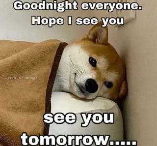 🌜 emoji СПОКОЙНОЙ НОЧИ, СУЧКИ Telegram sticker 16 of 18