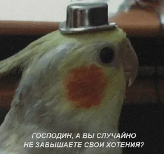 😠 emoji стикерпак для сударей Telegram sticker 14 of 79