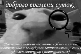 🤯 emoji стикерпак для сударей Telegram sticker 6 of 79
