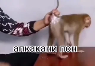 🌟 emoji Больше стиков тут: @stikery4 Telegram sticker 20 of 50
