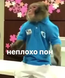 🌟 emoji Больше стиков тут: @stikery4 Telegram sticker 11 of 50