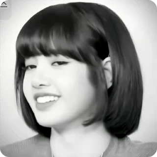 🌟 emoji @lalalisa_mchd Telegram sticker 9 of 35