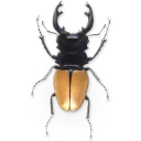 🐞 emoji Насекомые @NBstickeria Telegram sticker 22 of 30