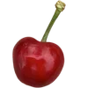 🍒 emoji dodo🧚‍♀️ Telegram sticker 1 of 200