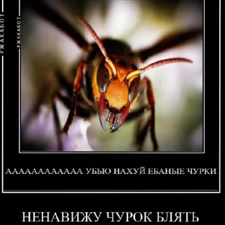 🙄 emoji Ебнутые насекомые  @Deutsche_Katze_2228 Telegram sticker 13 of 28