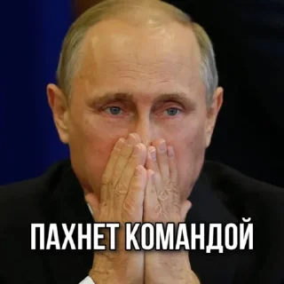🤮 emoji PUTIN DRAG RACE Telegram sticker 11 of 22