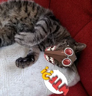 😳 emoji gr0ndpa's 1st Telegram sticker 5 of 59