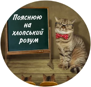 🤓 emoji Котик Telegram sticker 15 of 30