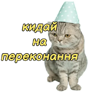 🫡 emoji Мій канал Telegram sticker 17 of 28