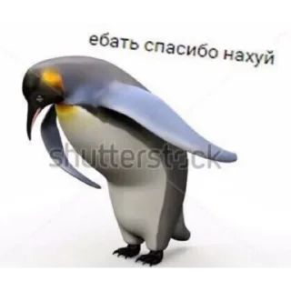 🫡 emoji спизженные тиллом стики. Telegram sticker 24 of 31