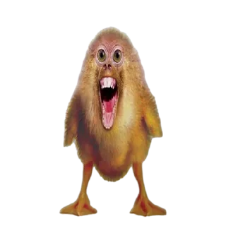 👄 emoji Goida Telegram sticker 14 of 40