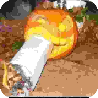 🔥 emoji Goida Telegram sticker 20 of 40