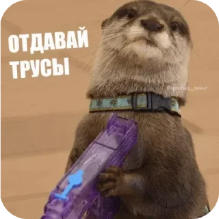 🤪 emoji Святые выдры Telegram sticker 10 of 81