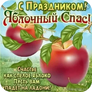 👍 emoji святые женщины Telegram sticker 18 of 37