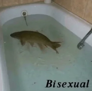 Sticker from Fish