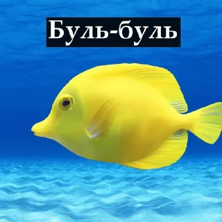 🌟 emoji Fish Telegram sticker 14 of 120