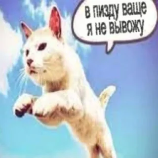 😵 emoji три татушки три та та @angleshavepinkhair Telegram sticker 19 of 46