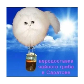 💙 emoji три татушки три та та @angleshavepinkhair Telegram sticker 23 of 46
