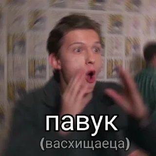 Sticker from Том как смысл жизни